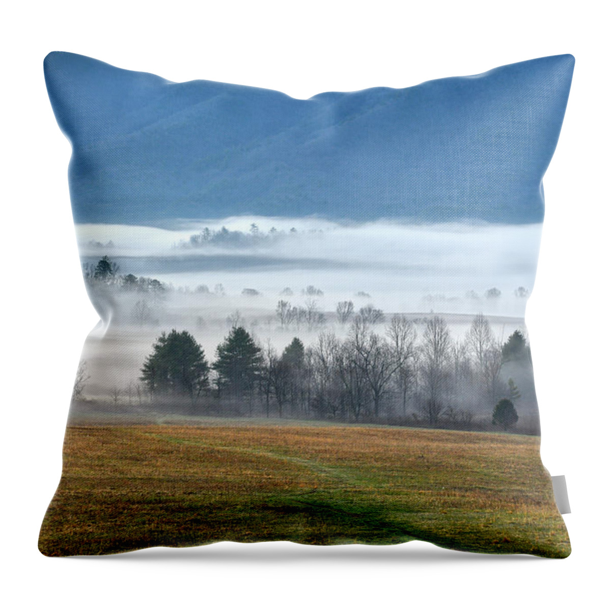 Smoky Mountains Throw Pillow featuring the photograph Fog At Cades Cove by Phil Perkins