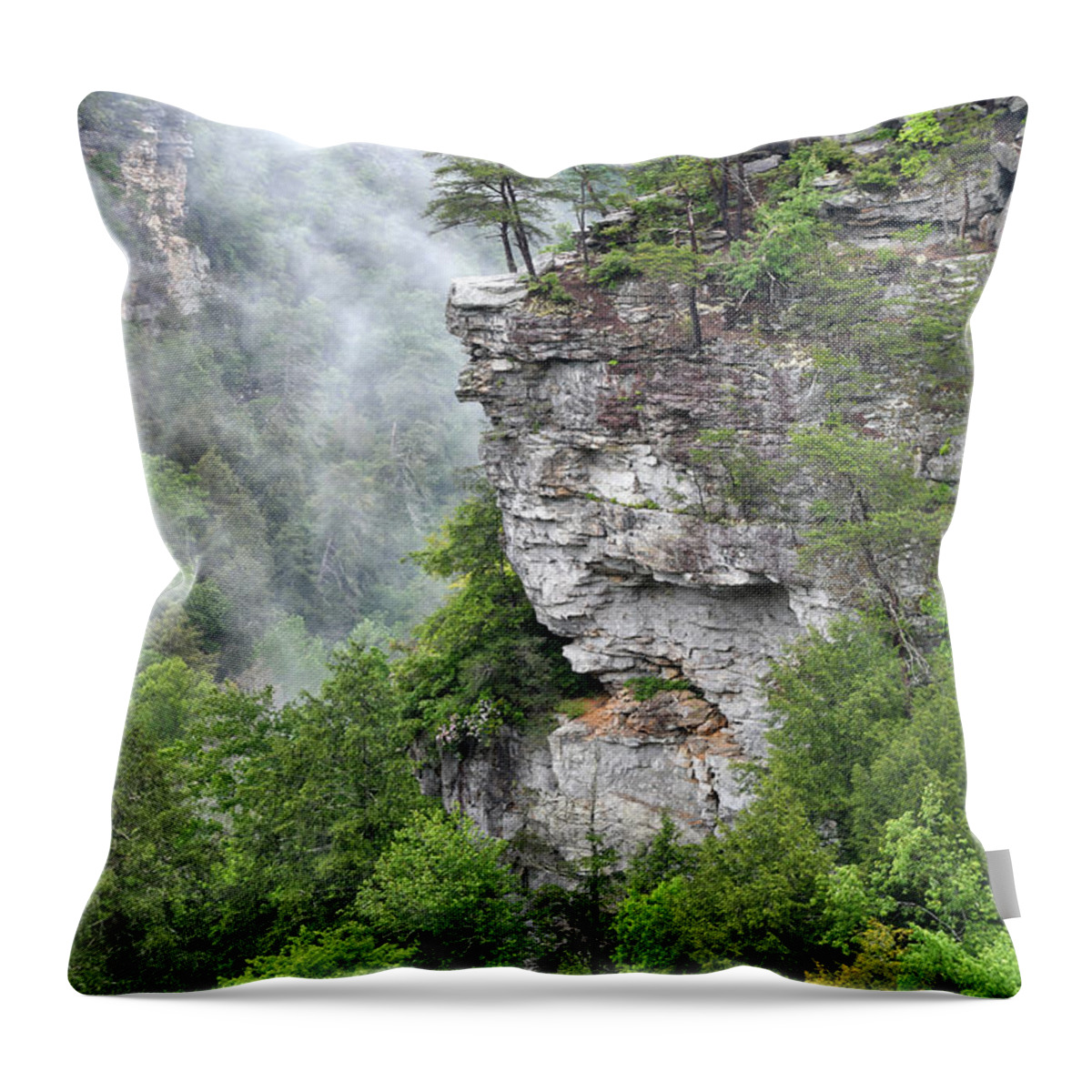 Fall Creek Falls Throw Pillow featuring the photograph Fog In The Valley by Phil Perkins