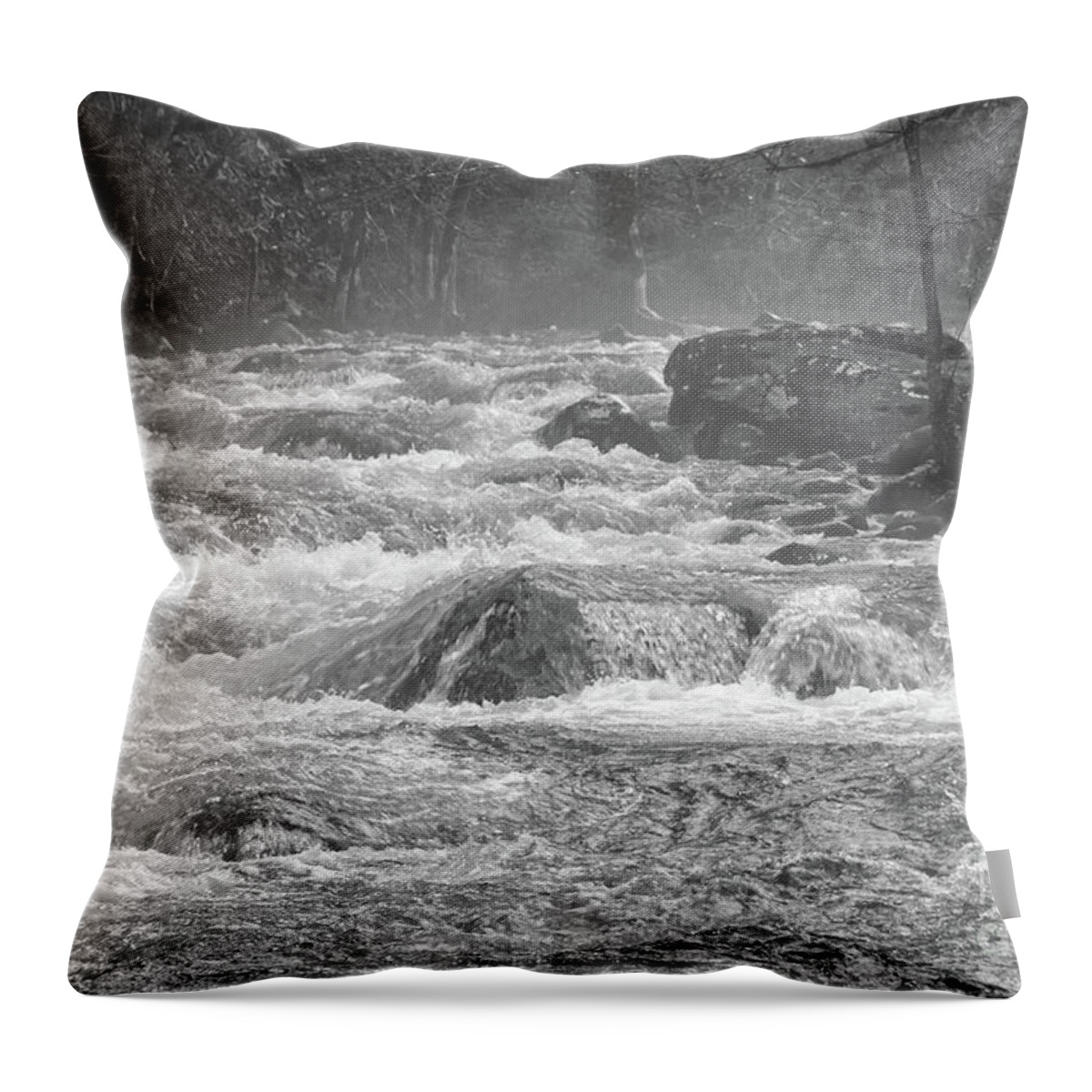 Tennessee Throw Pillow featuring the photograph Fog On River 2 by Phil Perkins