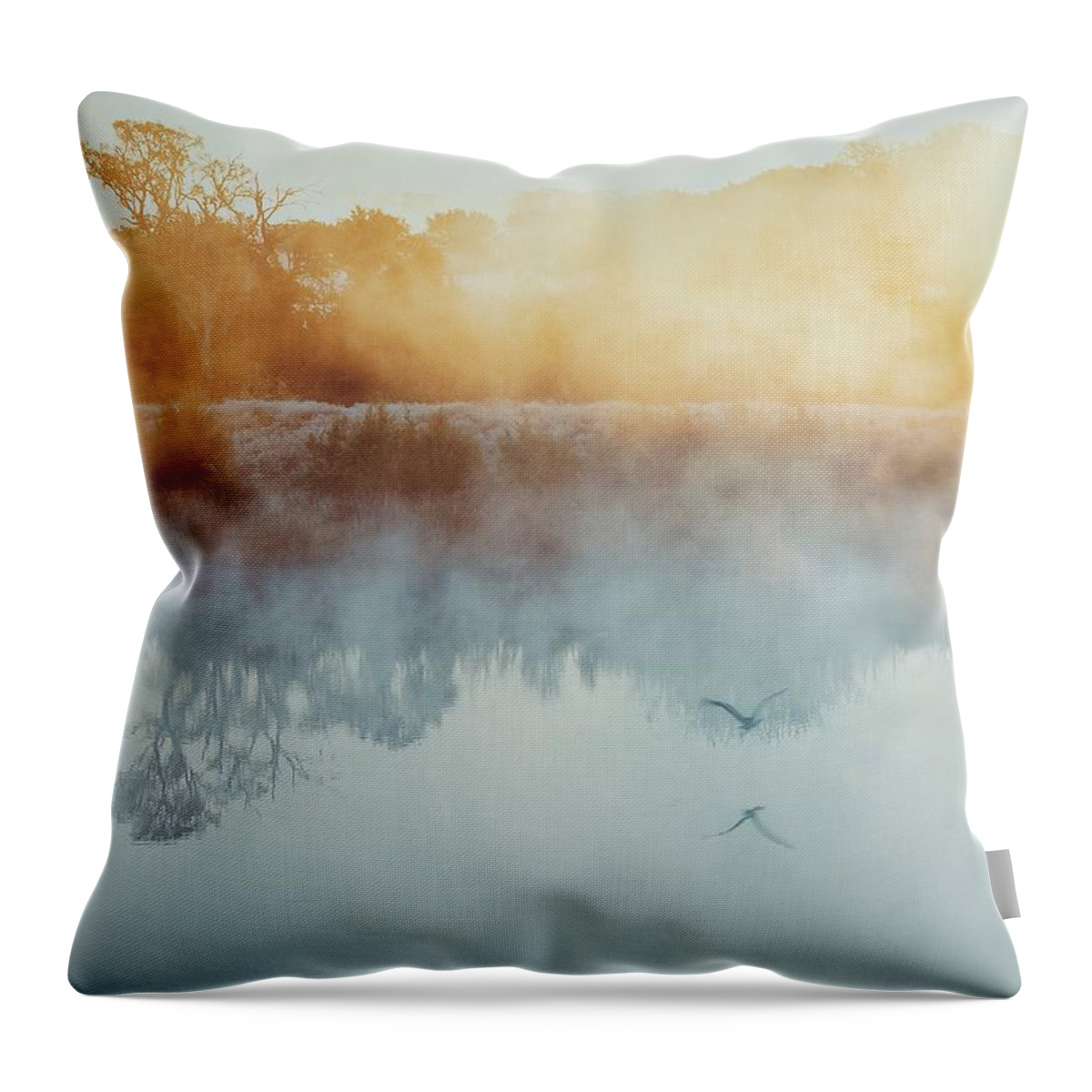 Foggy Pond Throw Pillow featuring the photograph Fog Rising by Lisa Spencer