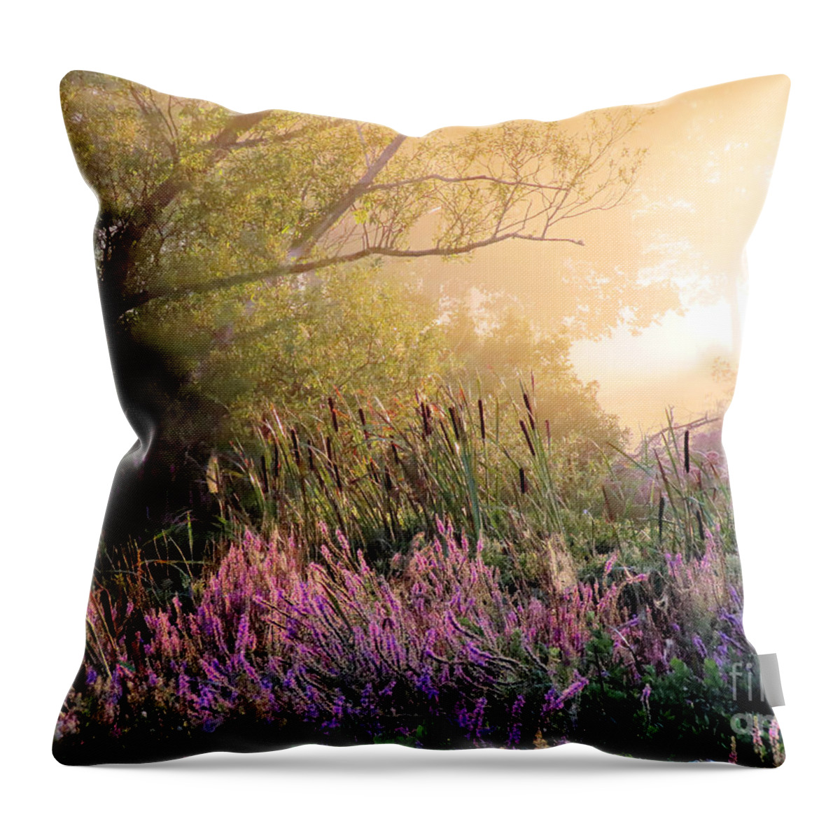 Fog Throw Pillow featuring the photograph Foggy August in the marshes by Janice Drew