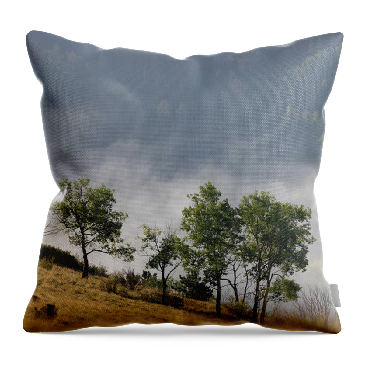 Fog Throw Pillow featuring the photograph Foggy Background on Grouse Mountain by Steven Krull