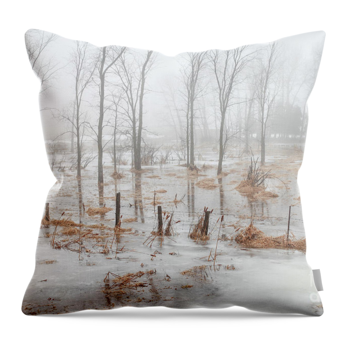 Foggy Day Throw Pillow featuring the photograph Foggy Day by Makiko Ishihara