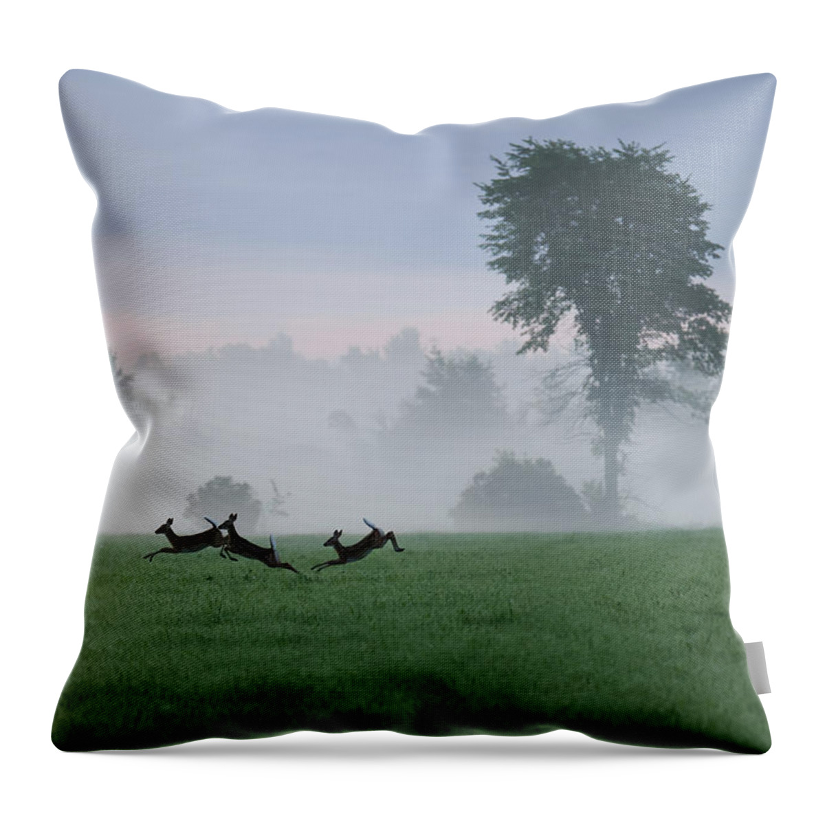 Whitetail Deer Throw Pillow featuring the photograph Foggy Fawns by Brook Burling