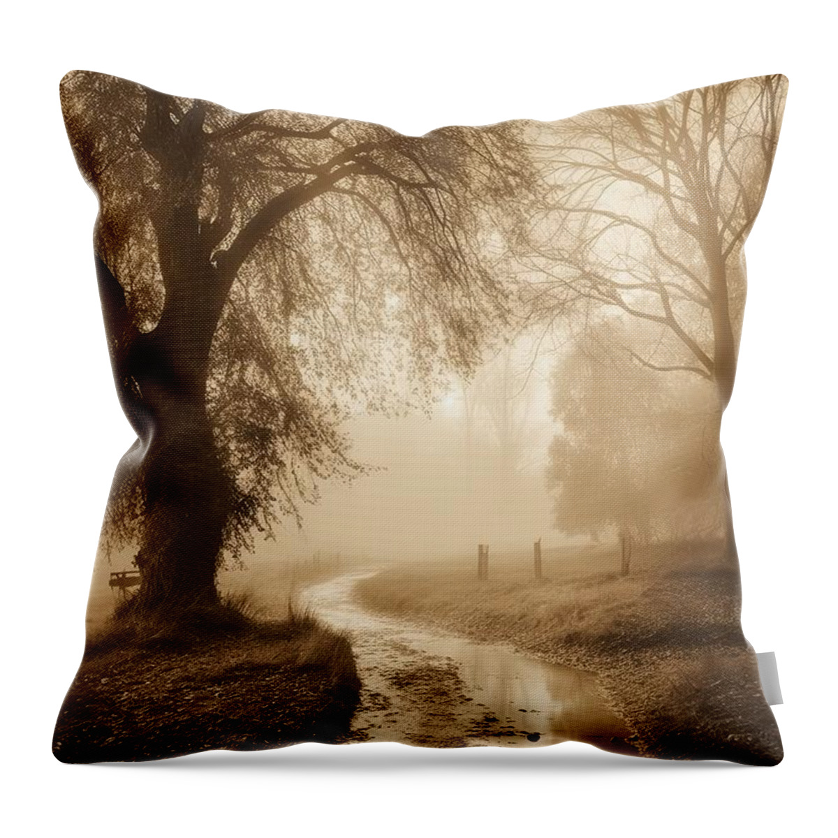 Foggy Morning Throw Pillow featuring the pyrography Foggy Morning II by Mindy Sommers