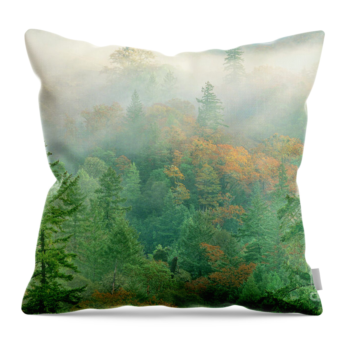 Dave Welling Throw Pillow featuring the photograph foggy morning in Humbolt County California by Dave Welling