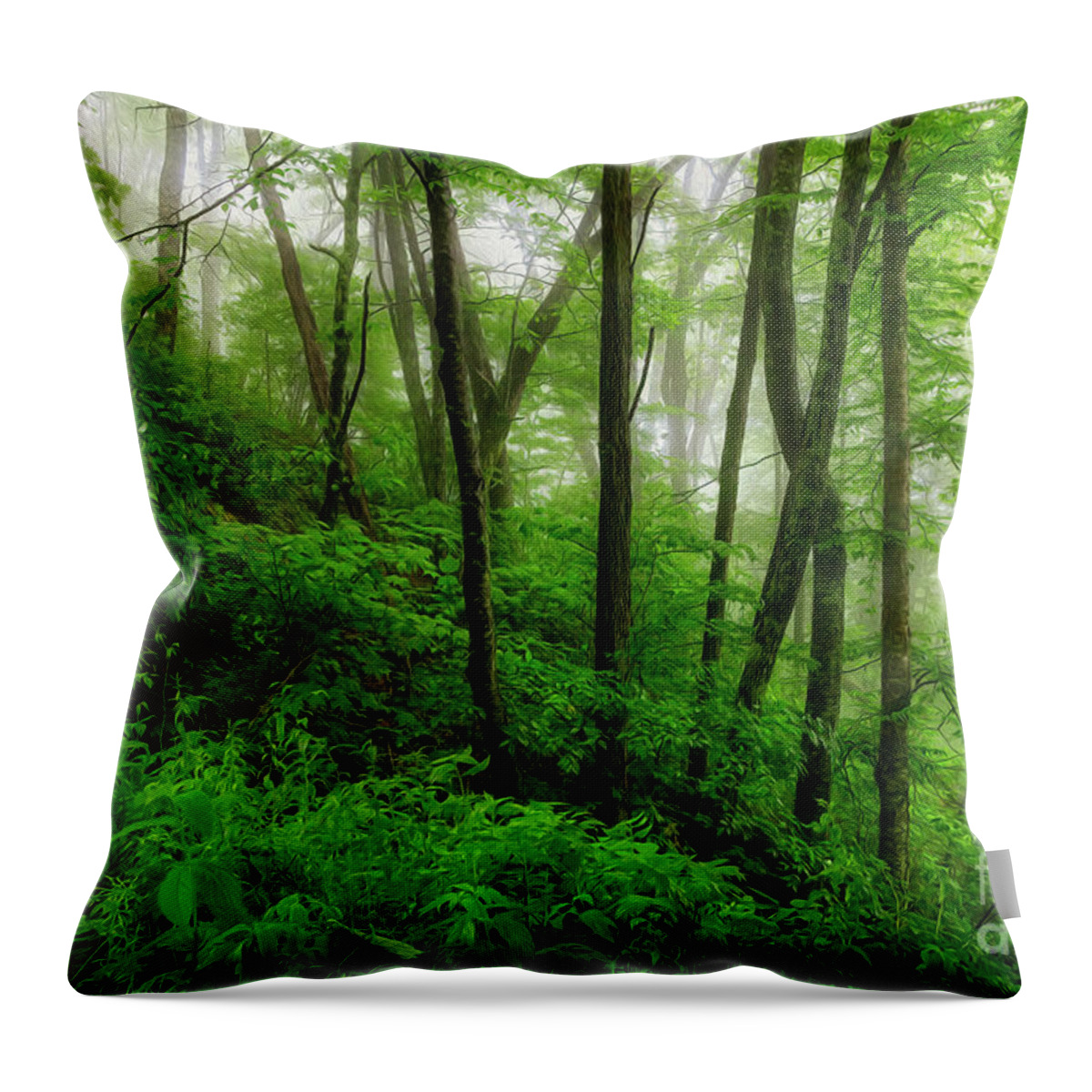 Blue Ridge; Blue Ridge Parkway; Parkway; Trees; Forest; Fog; Foggy; North Carolina; Nc; Western Nc; Mist Throw Pillow featuring the painting Foggy Morning in the Blue Ridges by Shelia Hunt
