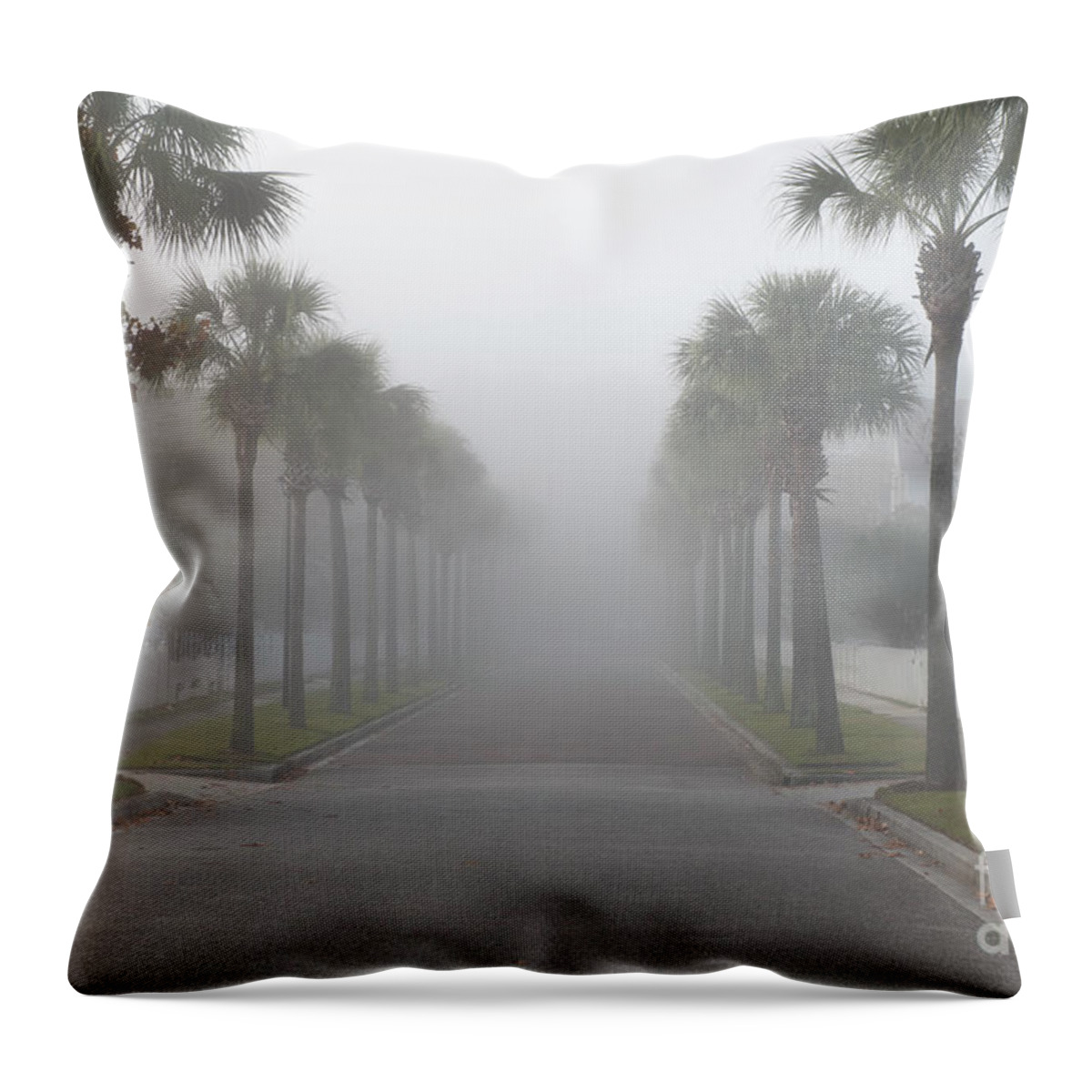 Fog Throw Pillow featuring the photograph Foggy Row of Palms by Dale Powell