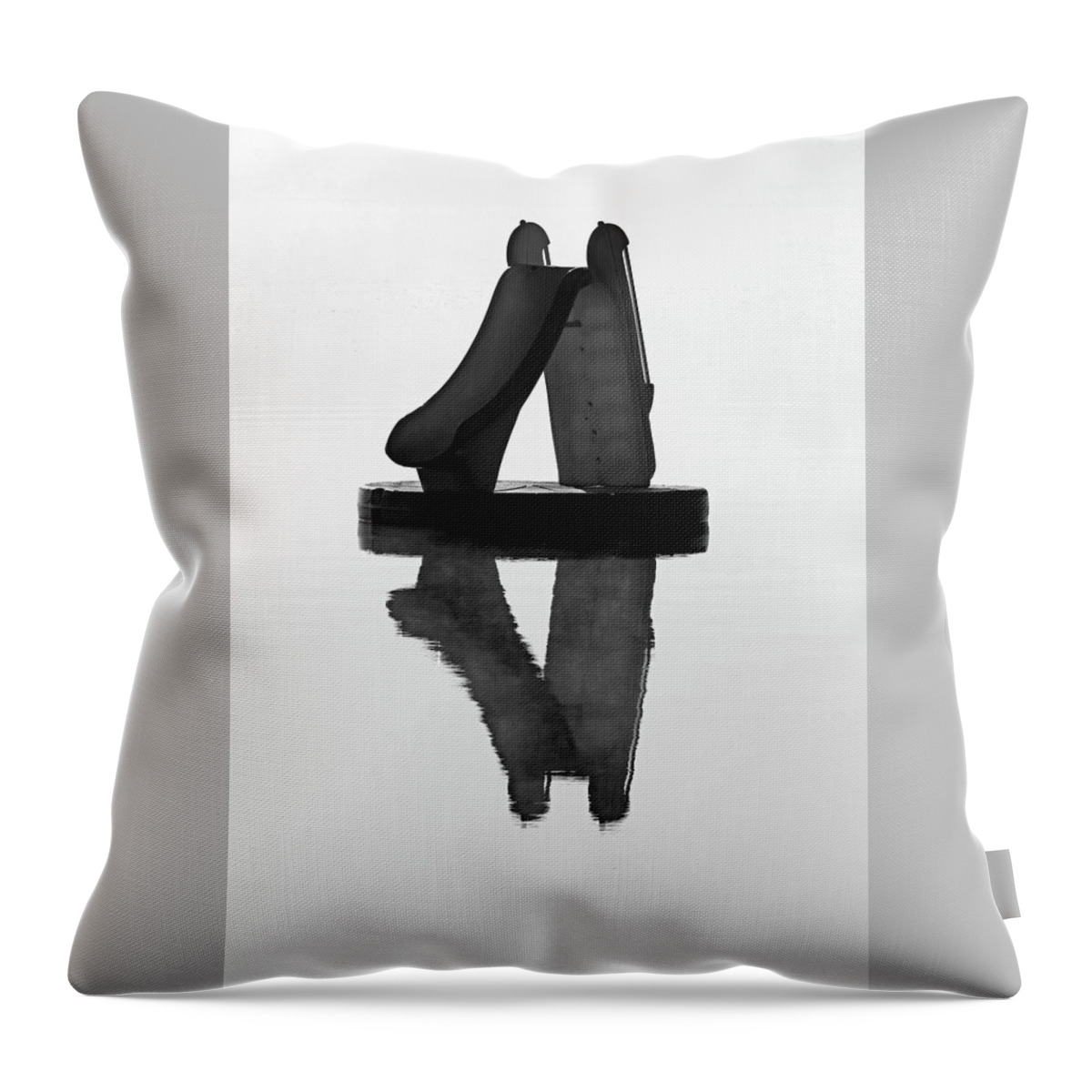 Slide Throw Pillow featuring the photograph Foggy Slide by Debbie Oppermann