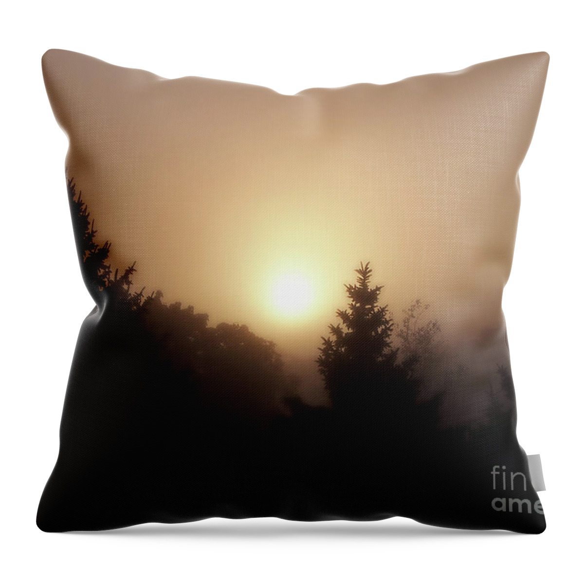 Sunrise Throw Pillow featuring the photograph Foggy Sunrise by Phil Perkins