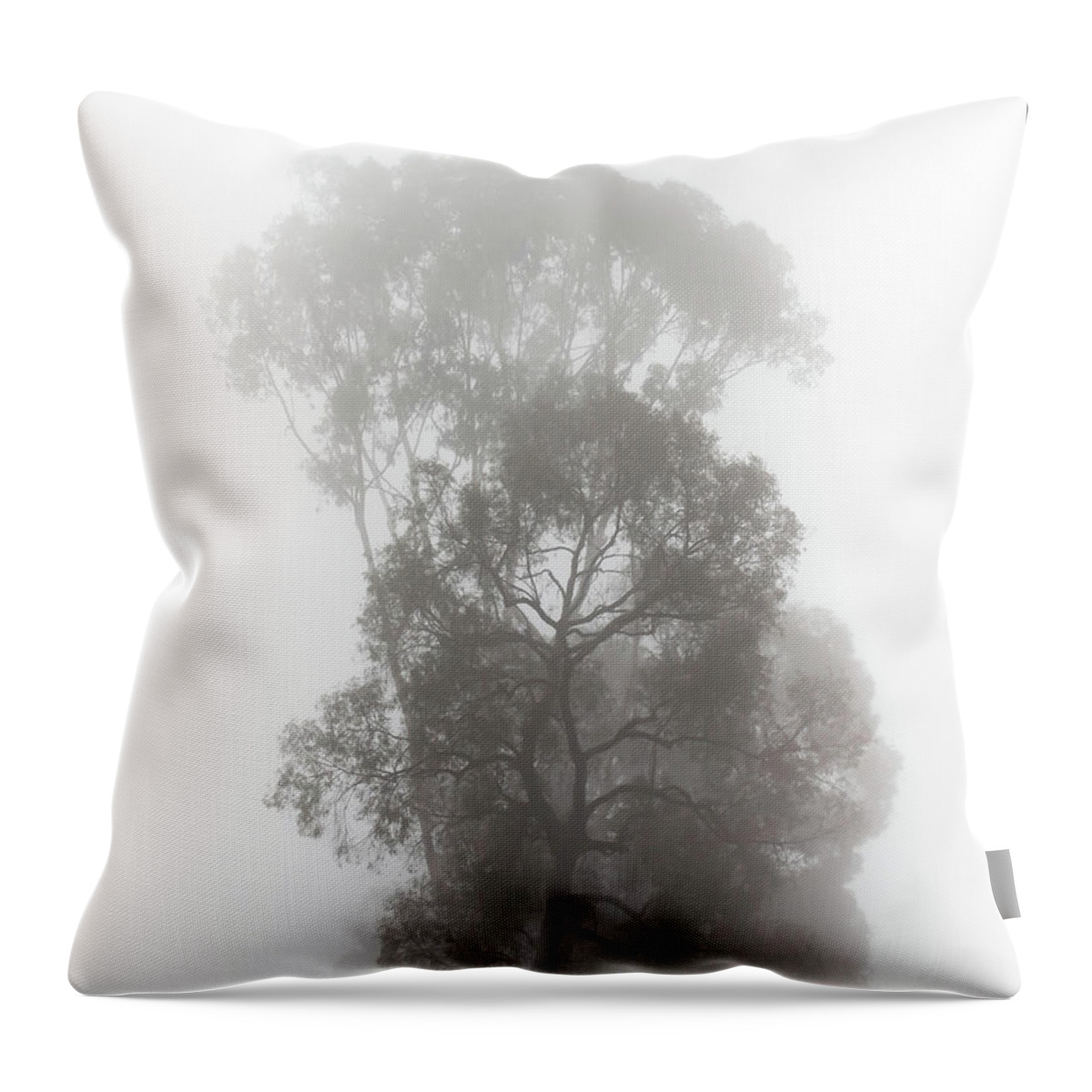 Fog Throw Pillow featuring the photograph Foggy Tree by Alison Frank