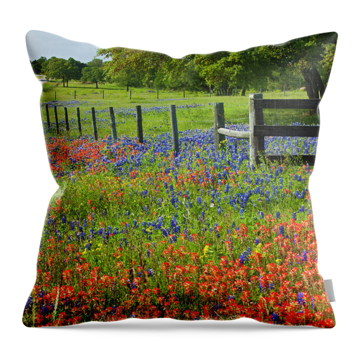 Abundance Throw Pillow featuring the photograph Follow the Fence by Eggers Photography