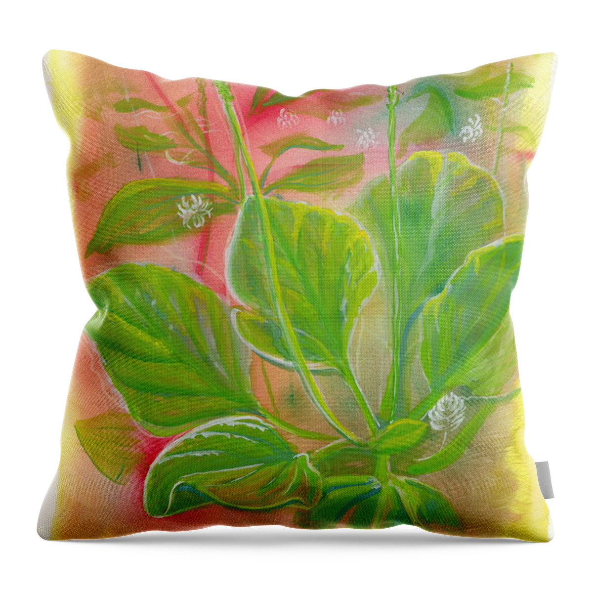 Watercolor Throw Pillow featuring the painting Forage. Broadleaf Plantain by Tammy Nara