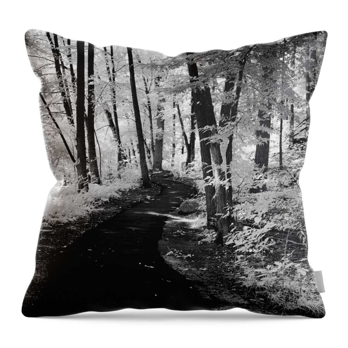 B&w Throw Pillow featuring the photograph Forbidden Forest by Anthony Sacco