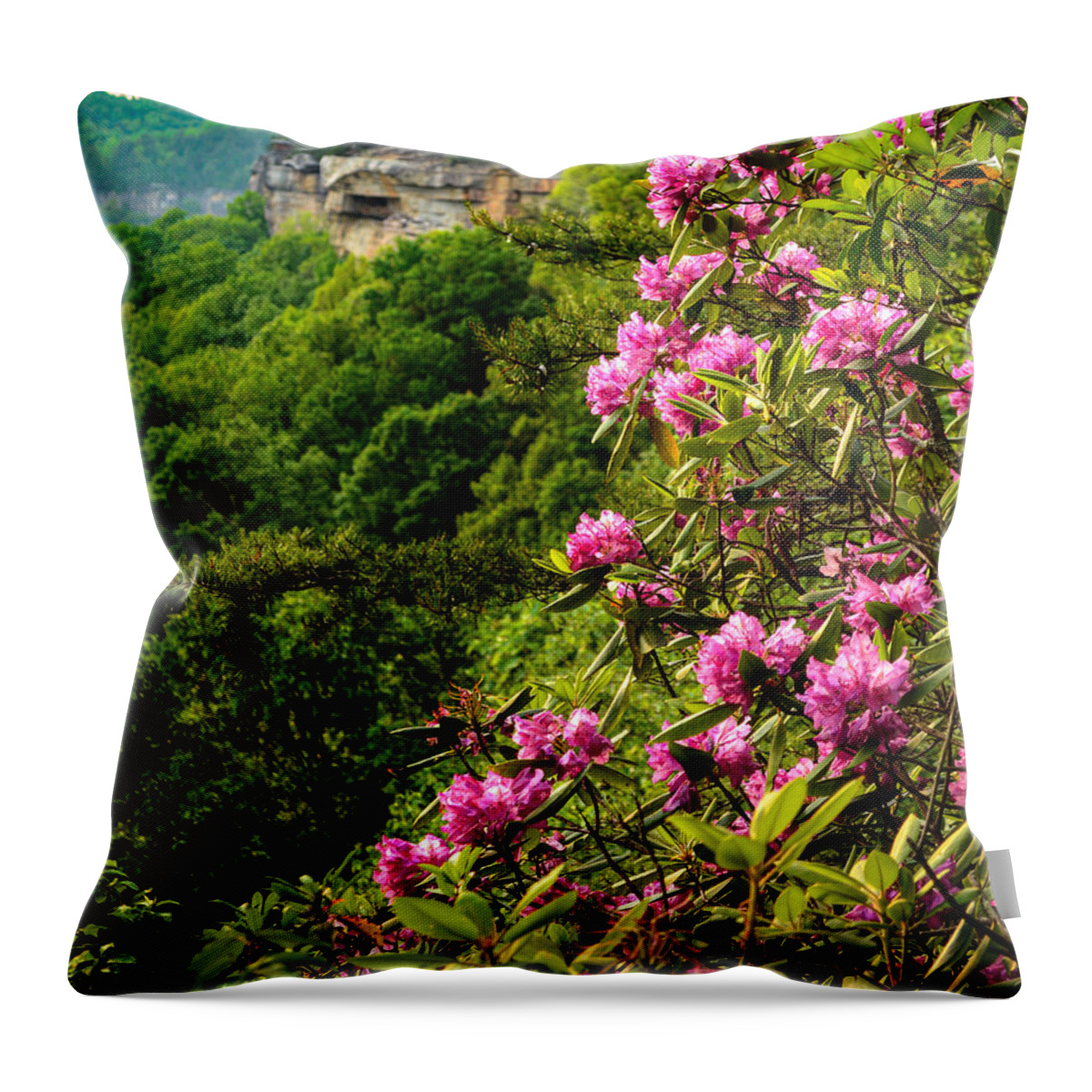 River Throw Pillow featuring the photograph Forest Blooms by Lisa Lambert-Shank