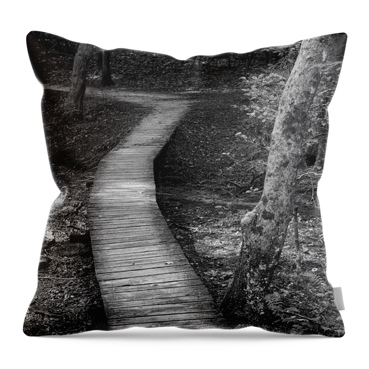 Savage Falls Throw Pillow featuring the photograph Forest Boardwalk by Phil Perkins