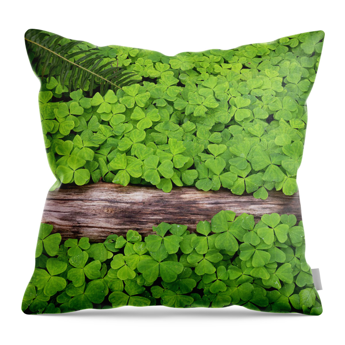 Forest Clover Oregon Spring Groundcover Fern Green Throw Pillow featuring the photograph Forest Carpet by Andrew Kumler