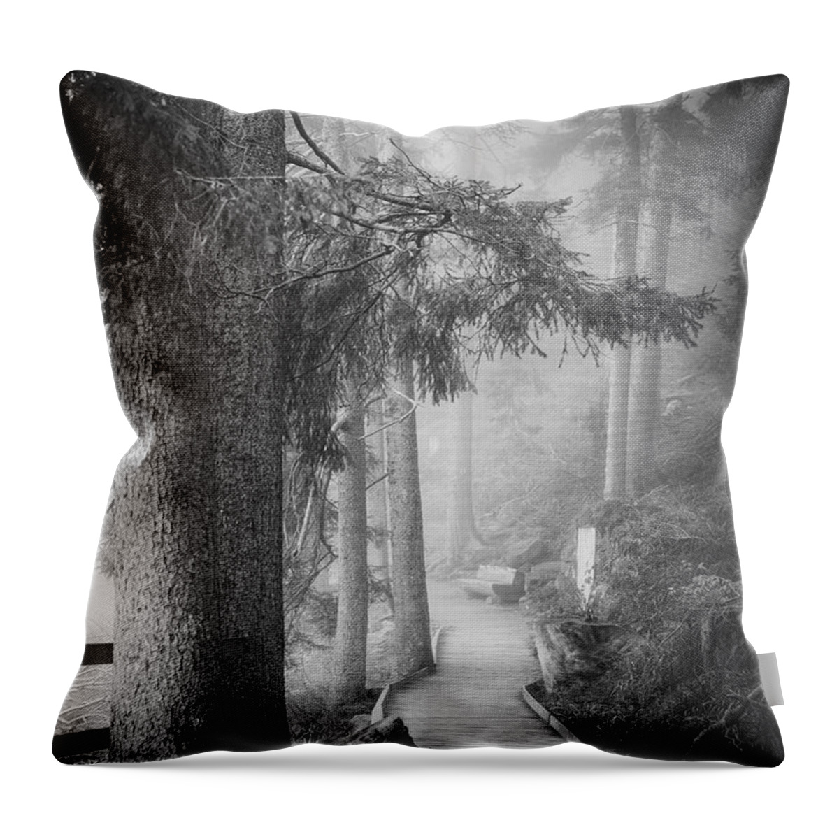 Forest Throw Pillow featuring the photograph Forest Glow by Philippe Sainte-Laudy