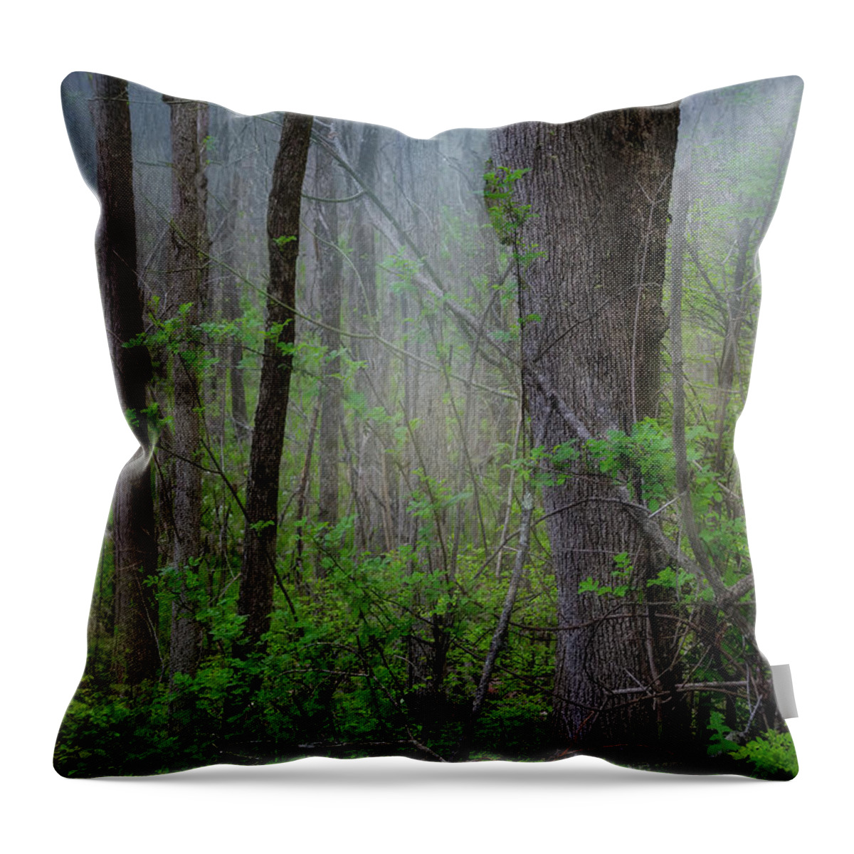 Forest Throw Pillow featuring the photograph Forest Magic by Shelia Hunt