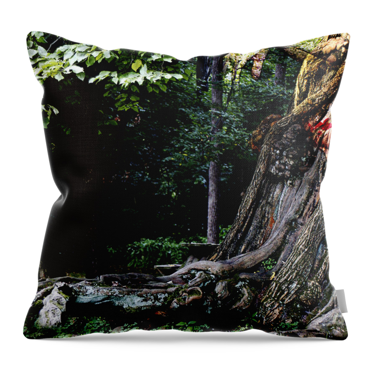 Clay Throw Pillow featuring the photograph Forest Nymph by Clayton Bruster