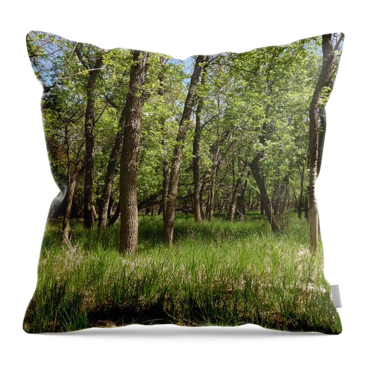 Forest Throw Pillow featuring the photograph Forest On The River Bottom by Amanda R Wright
