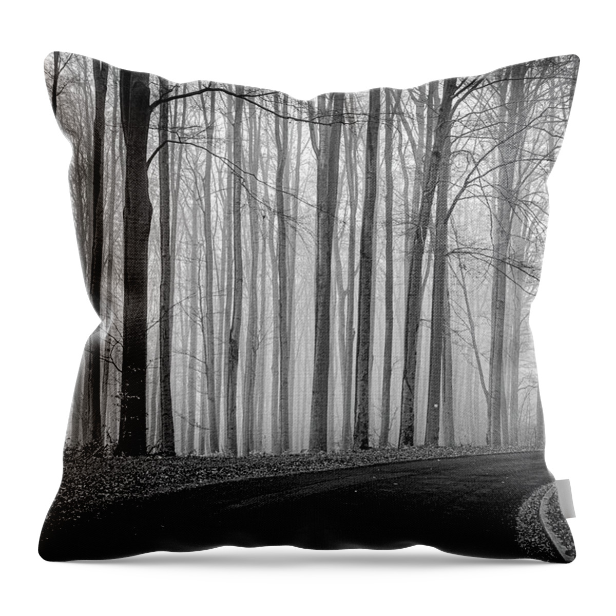 Road Throw Pillow featuring the photograph Forest Road by Tito Slack