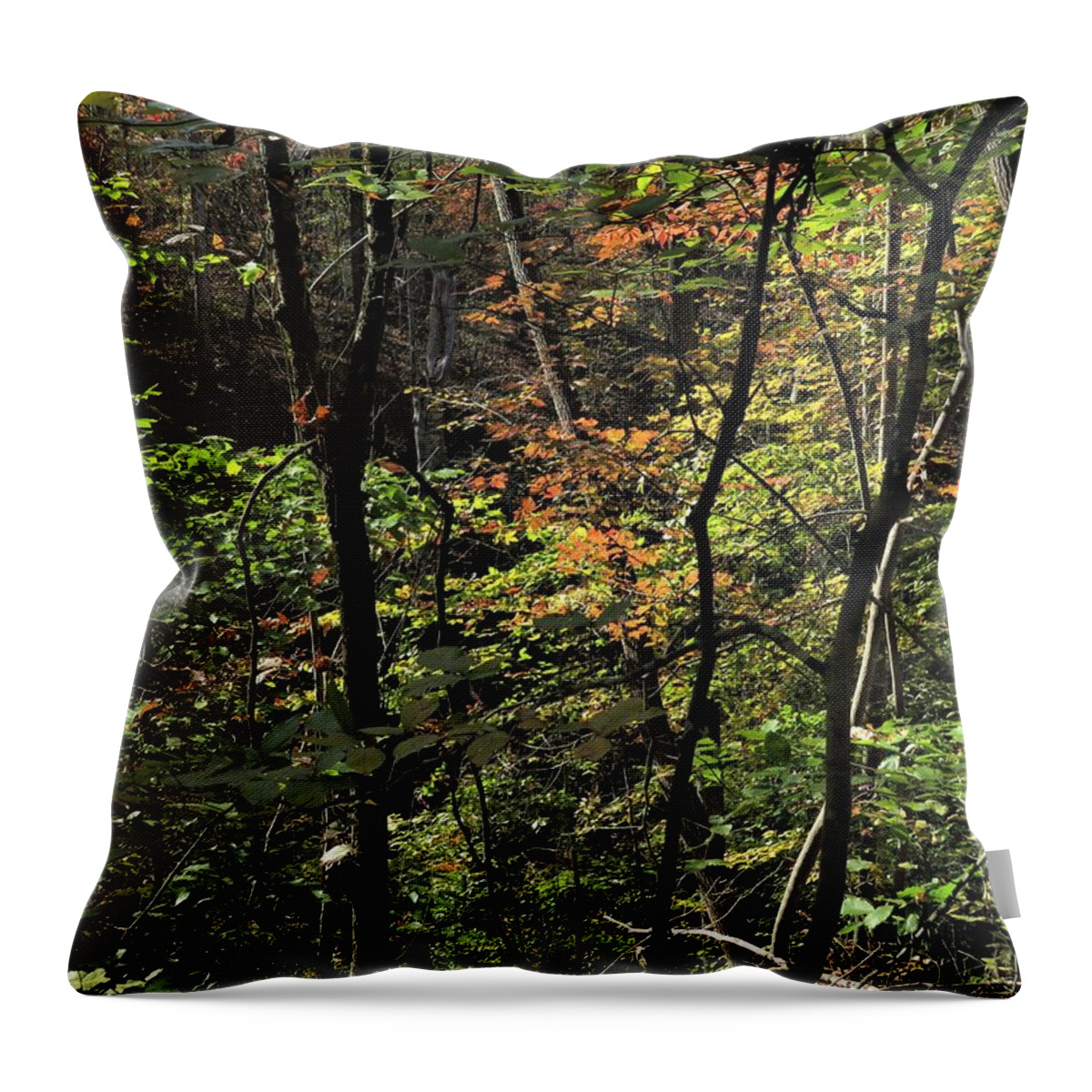Forest Throw Pillow featuring the photograph Forest Tints by Ed Williams