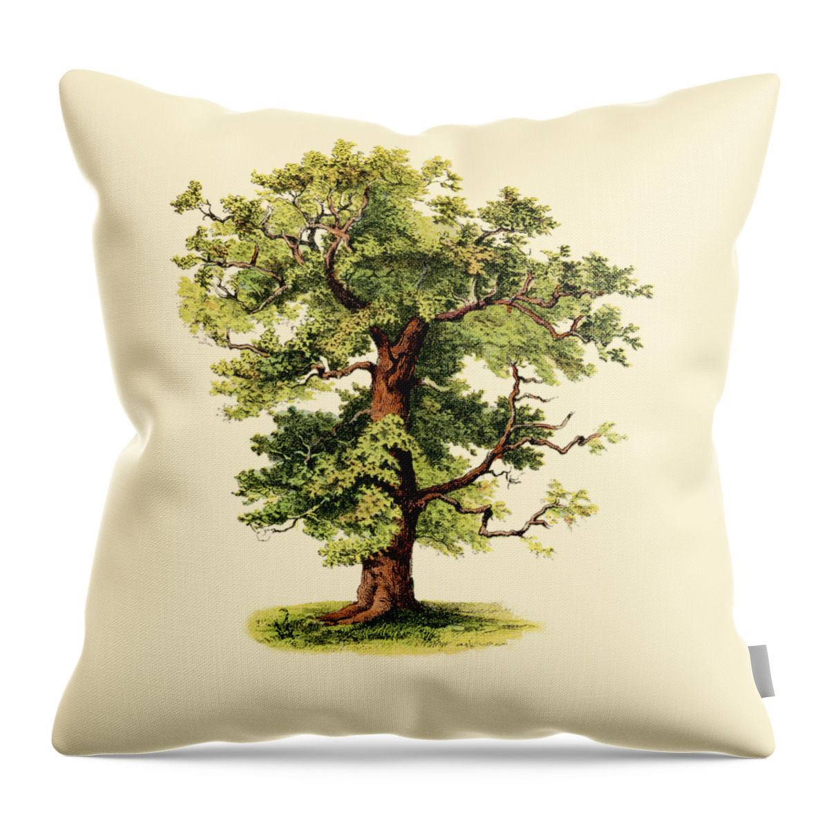 Oak Throw Pillow featuring the digital art Forest Tree by Madame Memento