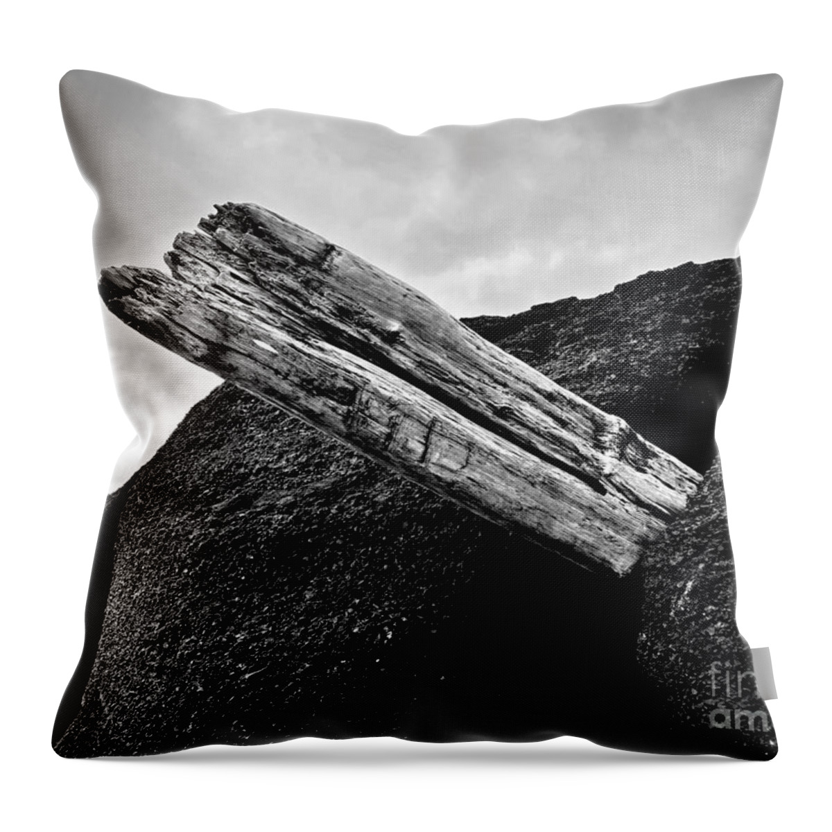 Driftwood Throw Pillow featuring the photograph Forever Stuck by Michael Cinnamond