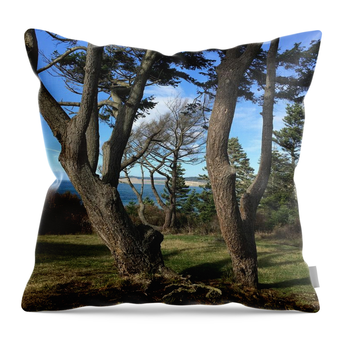 Seascape Throw Pillow featuring the photograph Fort Casey Park by Jerry Abbott