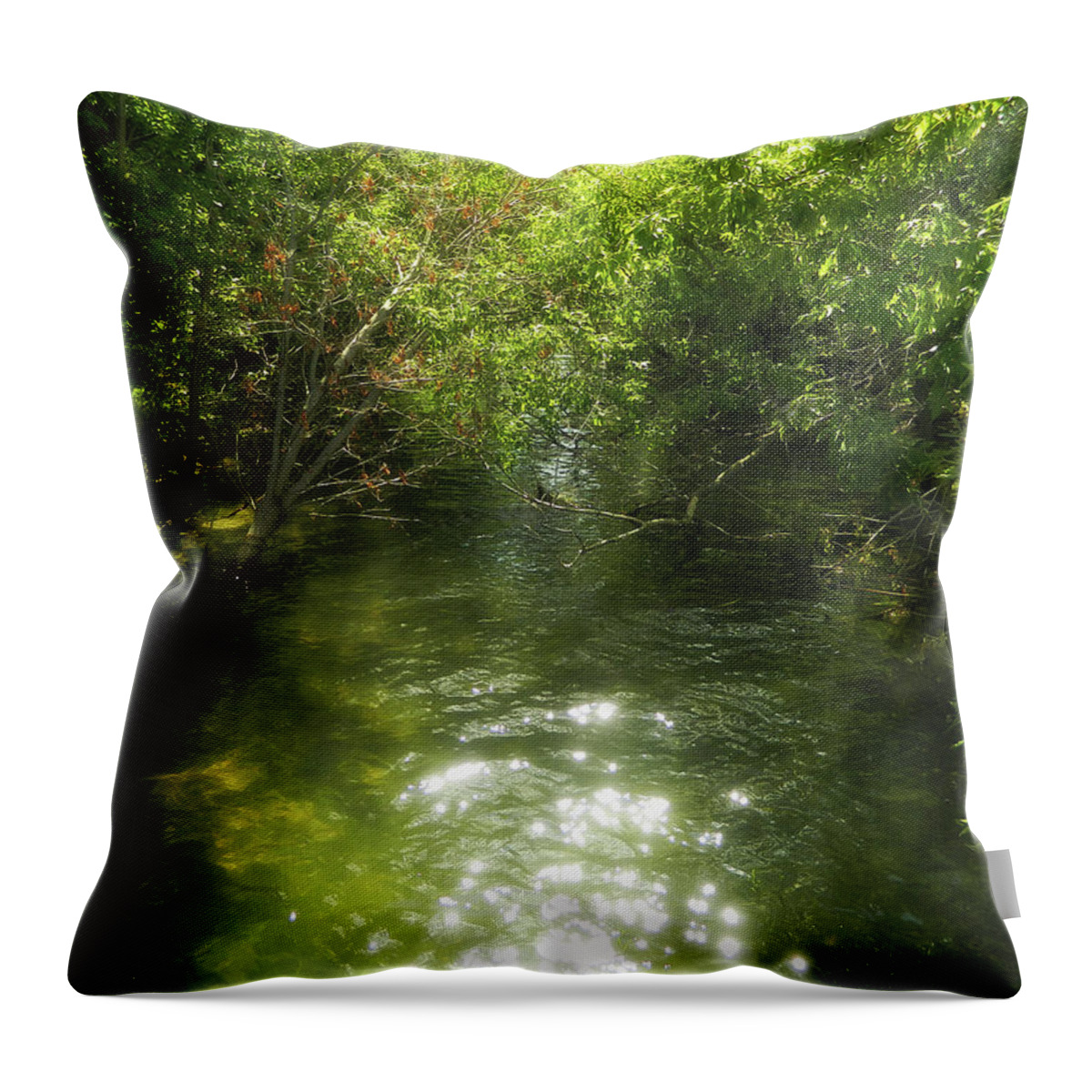 Found A New Place Throw Pillow featuring the photograph Found A New Place by Cyryn Fyrcyd