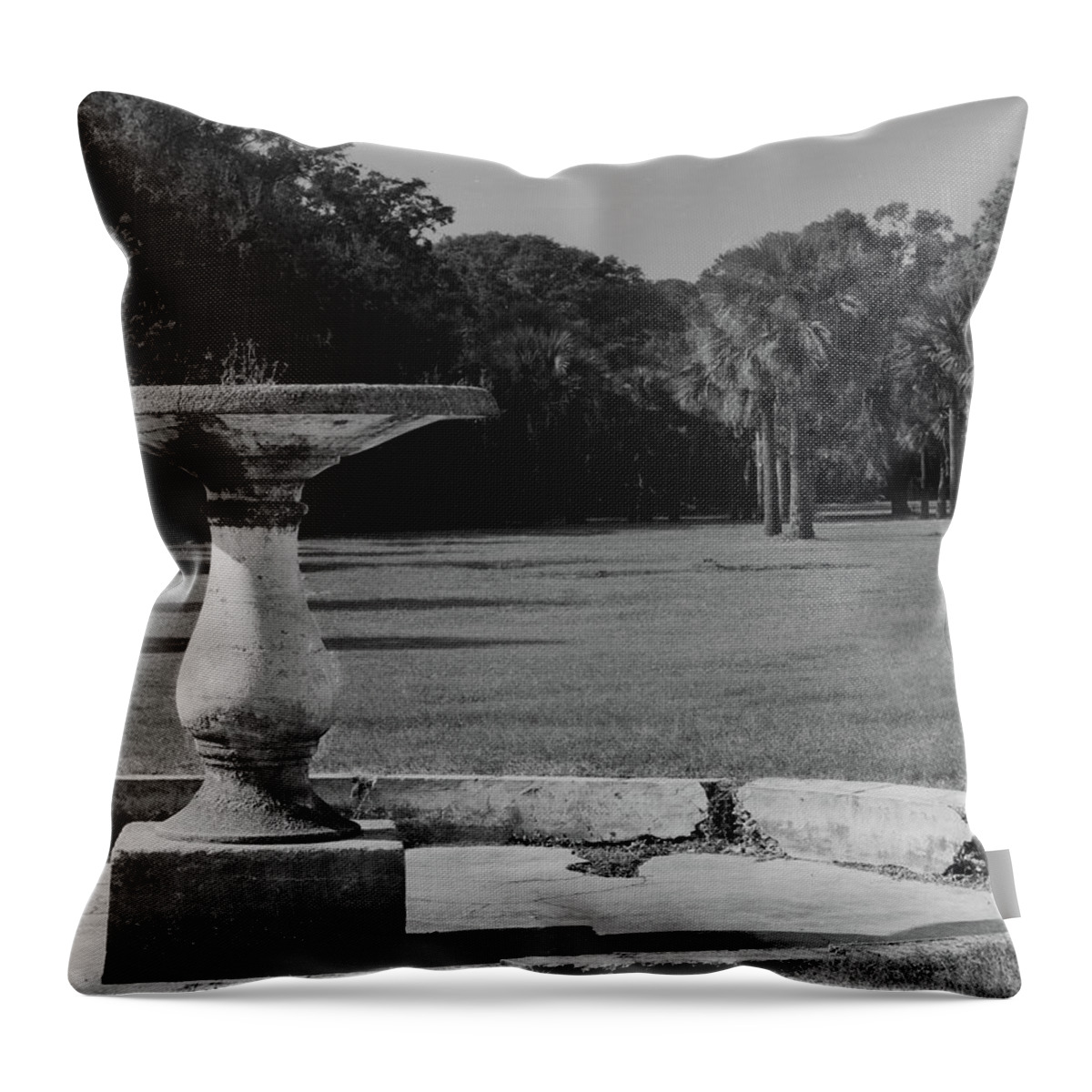 B&w Throw Pillow featuring the photograph Fountain Ruin, Cumberland Island by John Simmons
