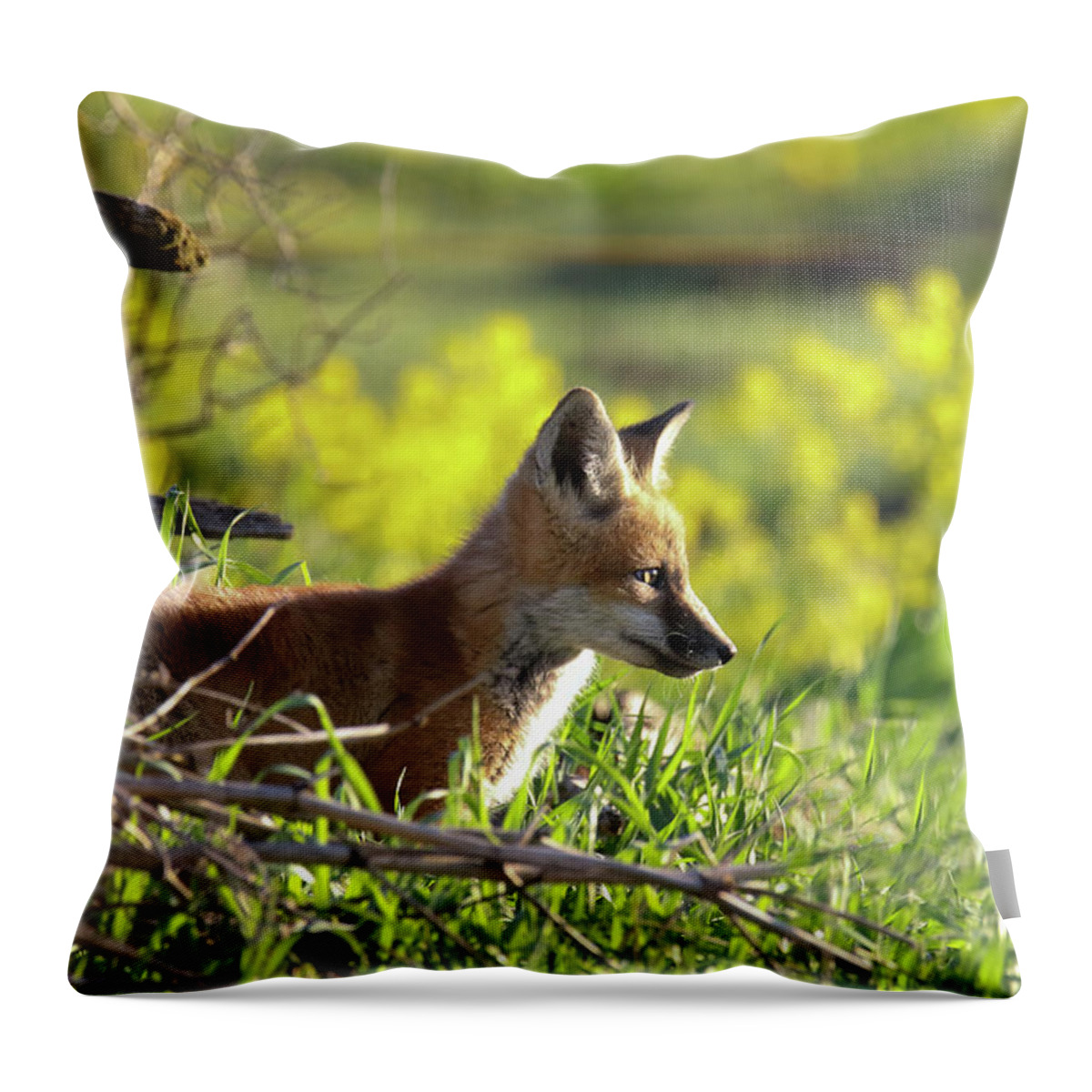 Redfox Throw Pillow featuring the photograph Fox at Den by Brook Burling