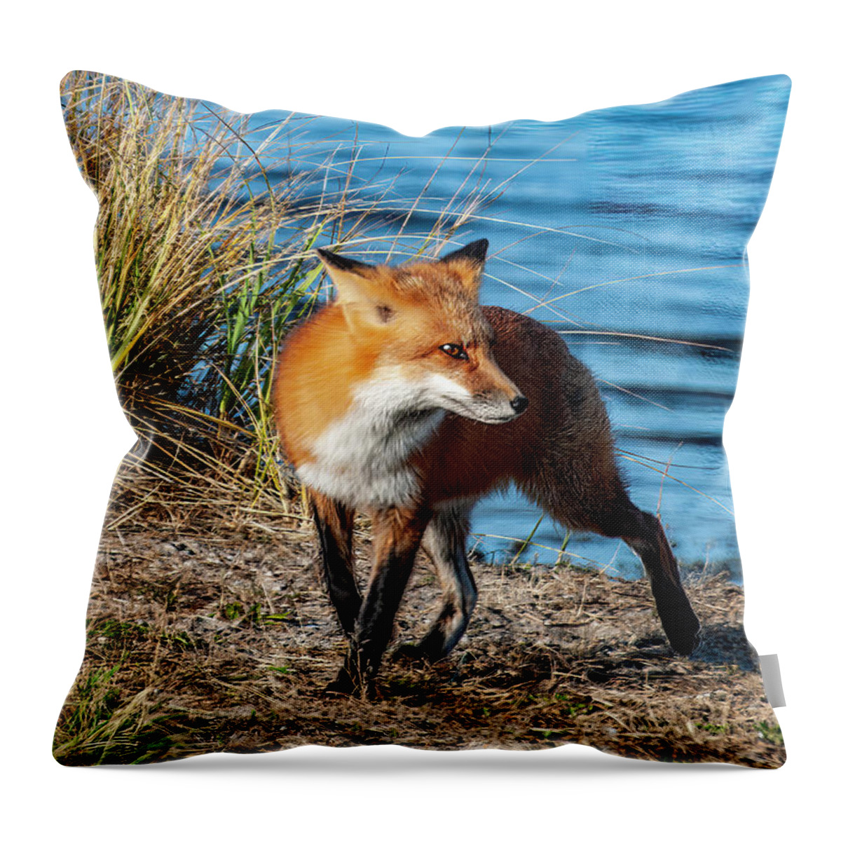 Fox Throw Pillow featuring the photograph Fox At The Shore by Cathy Kovarik