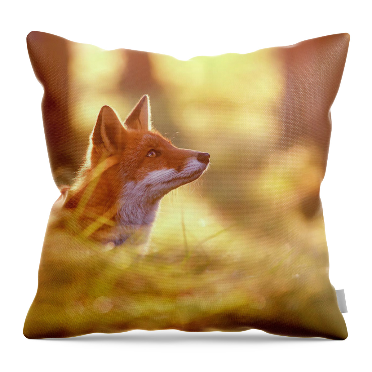 Fox Throw Pillow featuring the photograph Fox of Hope by Roeselien Raimond