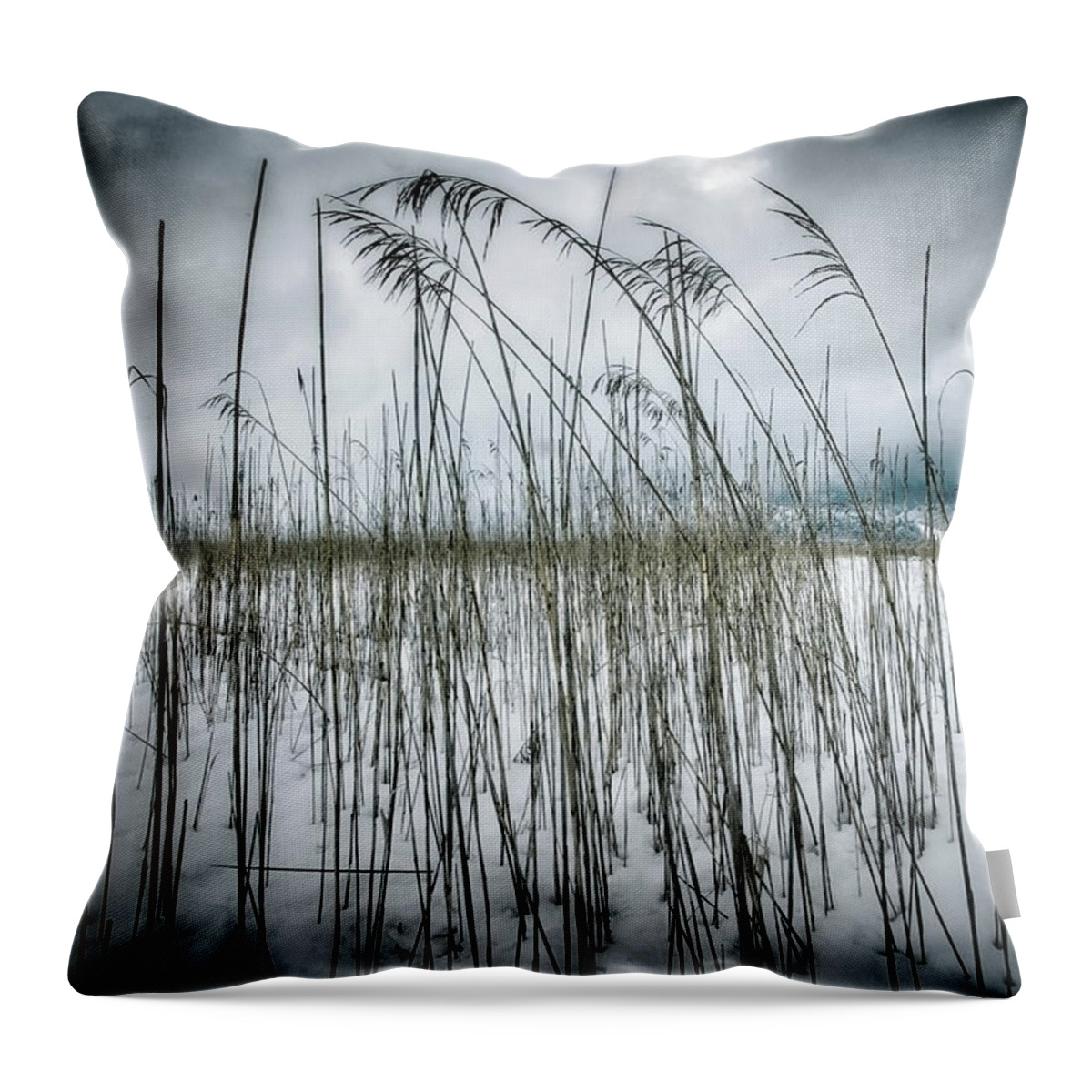Nag006076 Throw Pillow featuring the photograph Fragile Nature by Edmund Nagele FRPS
