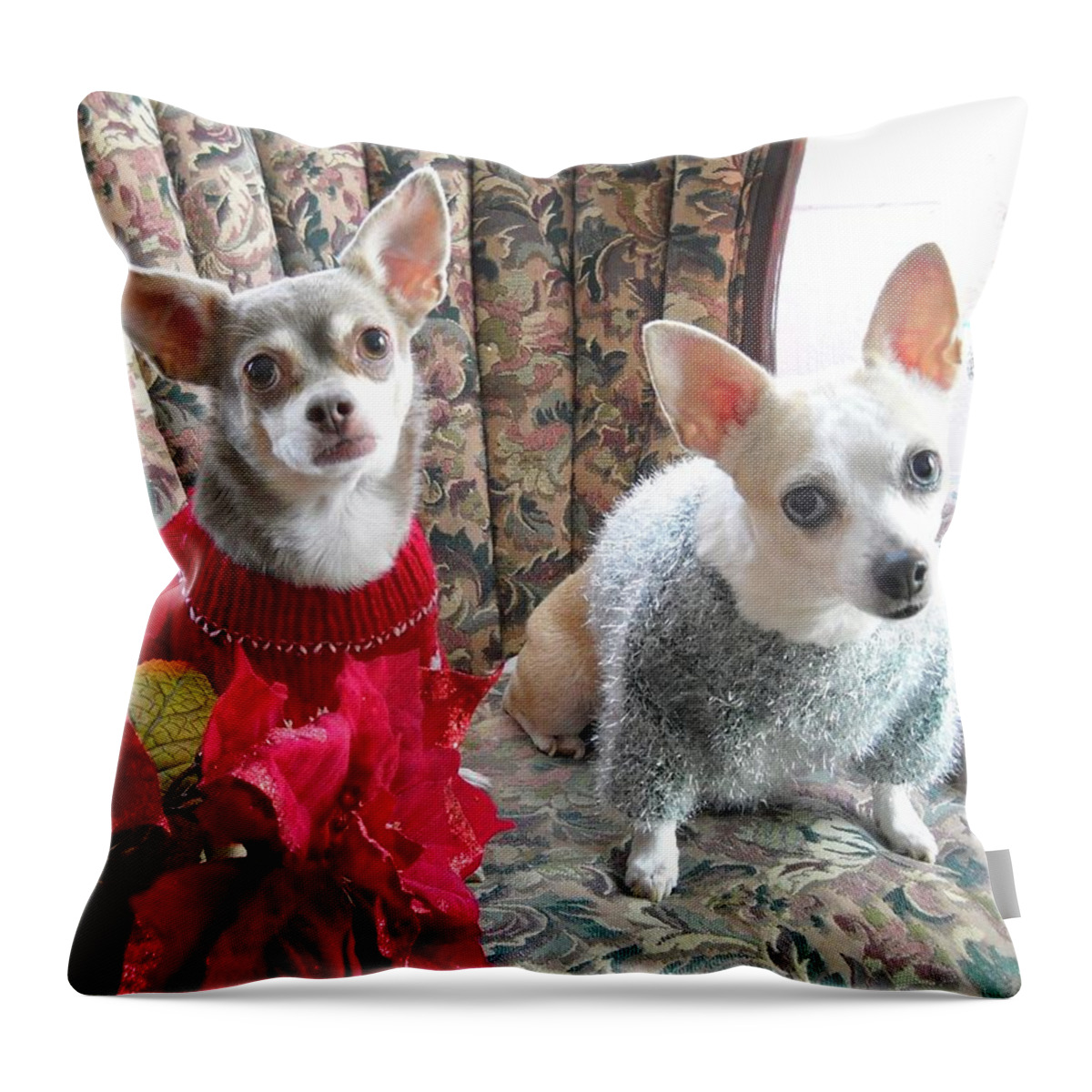 Chihuahua Throw Pillow featuring the photograph Frankie n Chrissy by Leah Delano