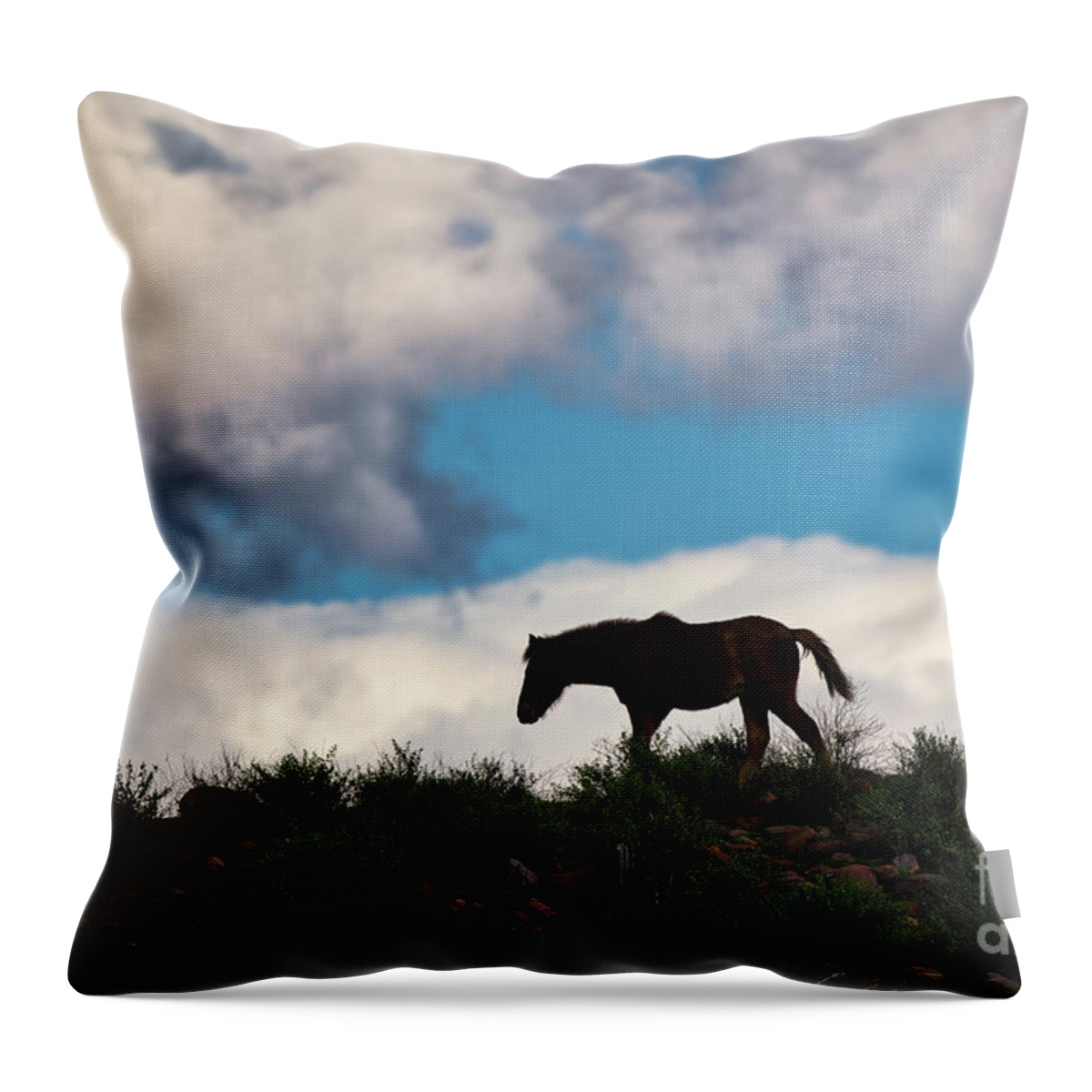 Cute Yearling Throw Pillow featuring the photograph Free by Shannon Hastings