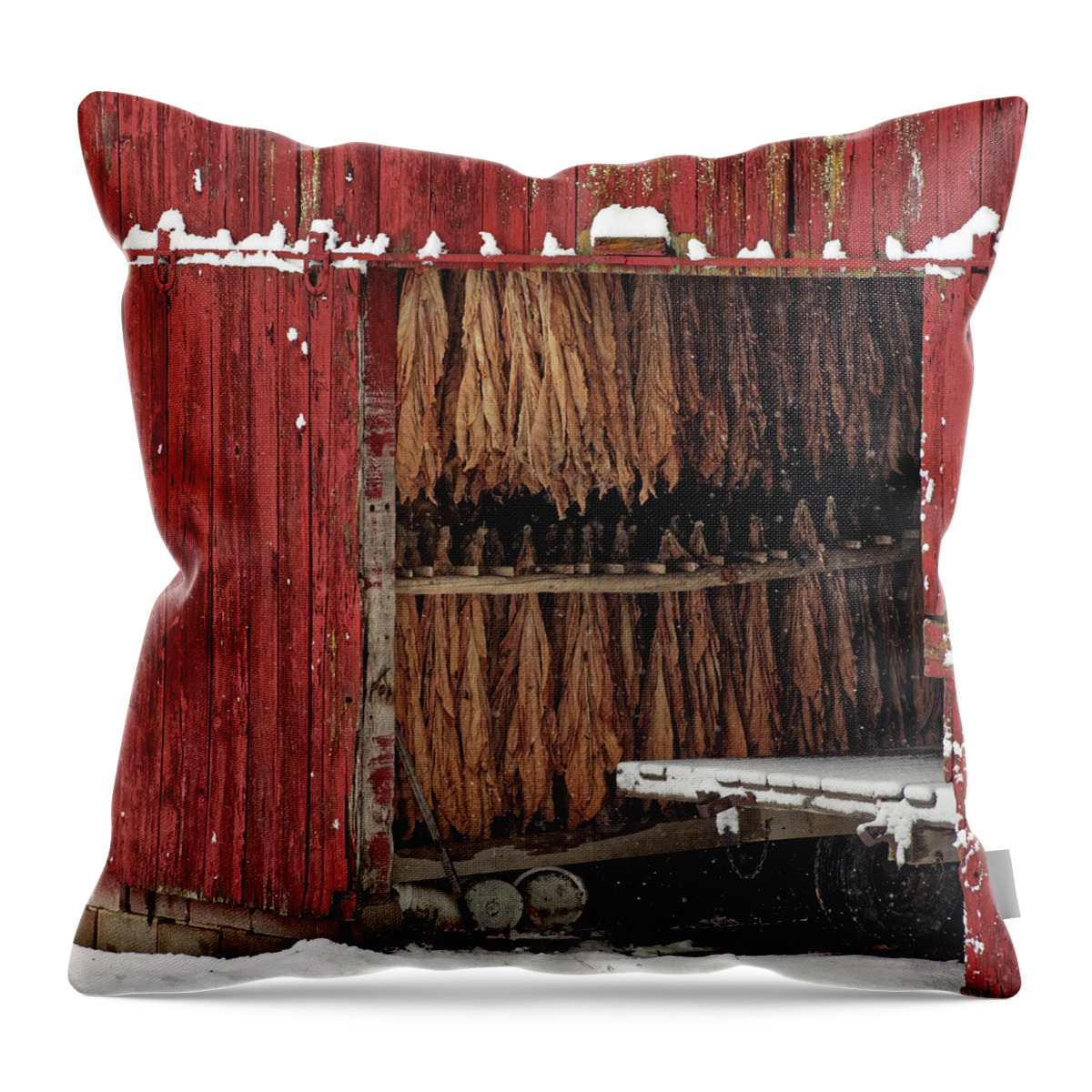 Tobacco Throw Pillow featuring the photograph Freeze Dried- Wintertime scene of tobacco hanging to dry in red shed near Stoughton WI by Peter Herman