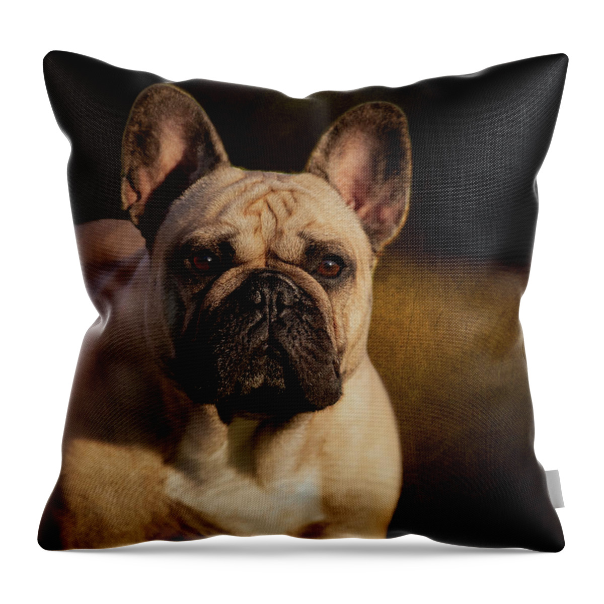 French Bulldog Throw Pillow featuring the photograph French Bulldog by Diana Andersen