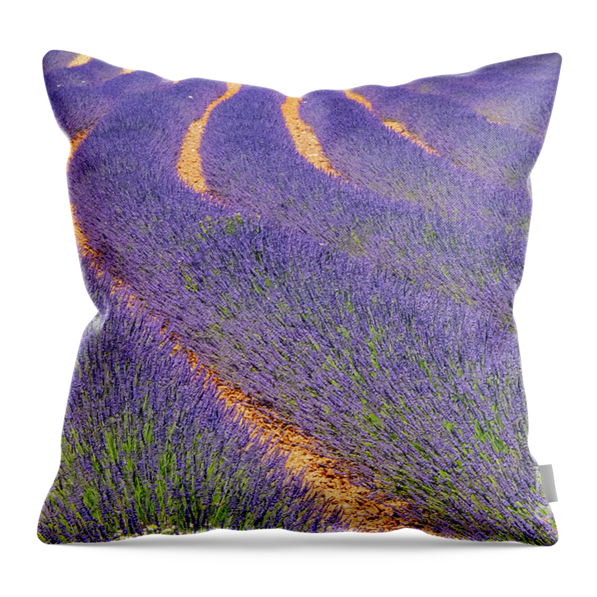 Provence Throw Pillow featuring the photograph French Lavender Rows in Provence One by Bob Phillips