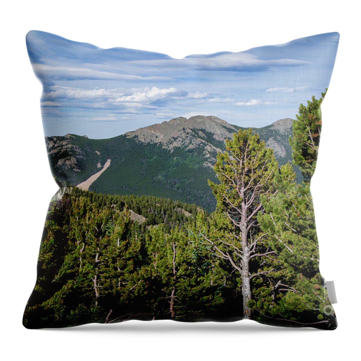 Colorado Throw Pillow featuring the photograph Fresh Mountain Air by Erin Marie Davis