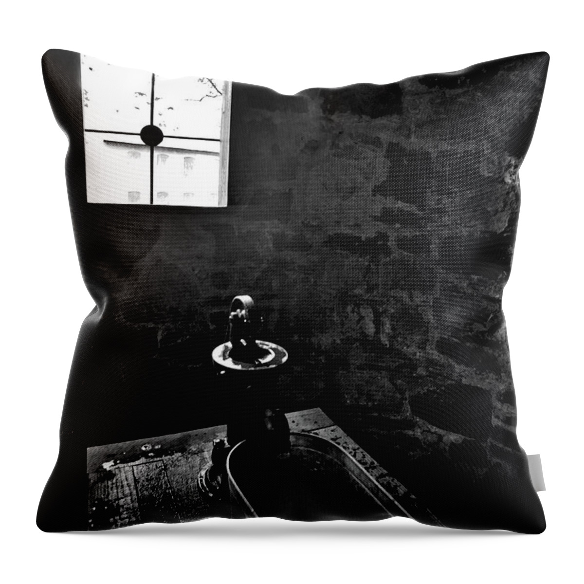 Rock Throw Pillow featuring the photograph Fresh Spring Water by George Taylor