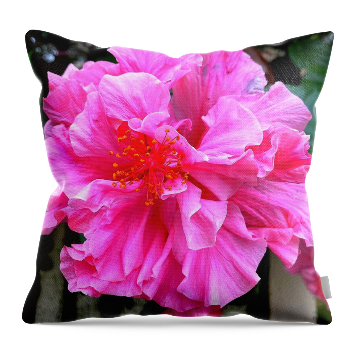 Pink Azalea Throw Pillow featuring the photograph Frilly Pink Azalea by VIVA Anderson