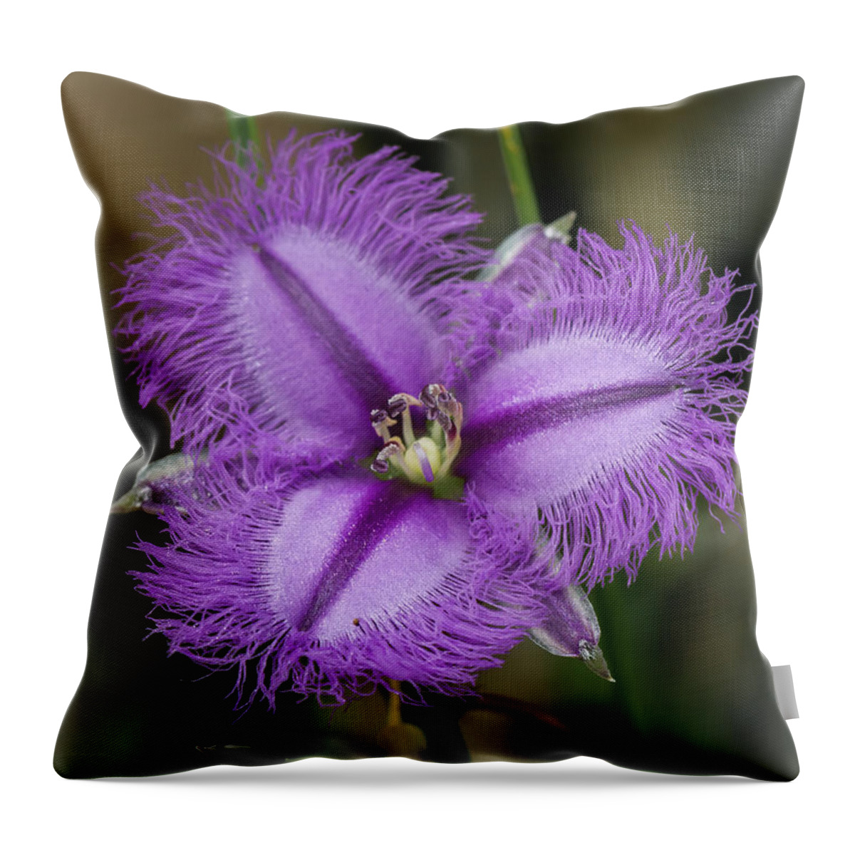 Fringe Lily Throw Pillow featuring the photograph Fringe Lily - Thysanotus tuberosus by Elaine Teague
