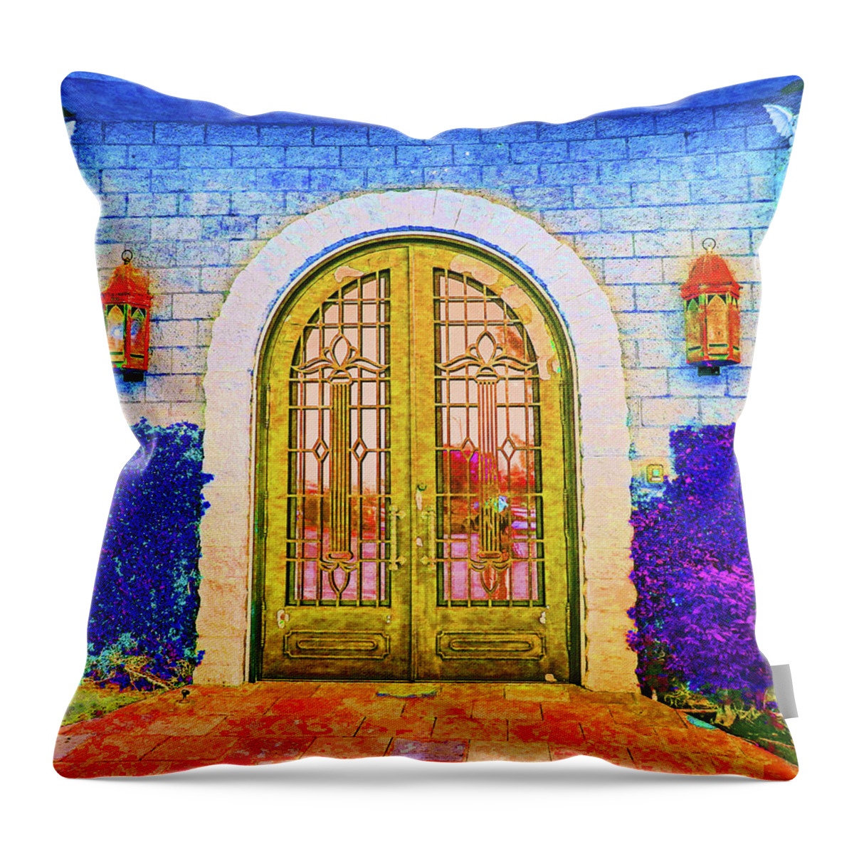 Castle Throw Pillow featuring the photograph Front Door To The Castle by Andrew Lawrence