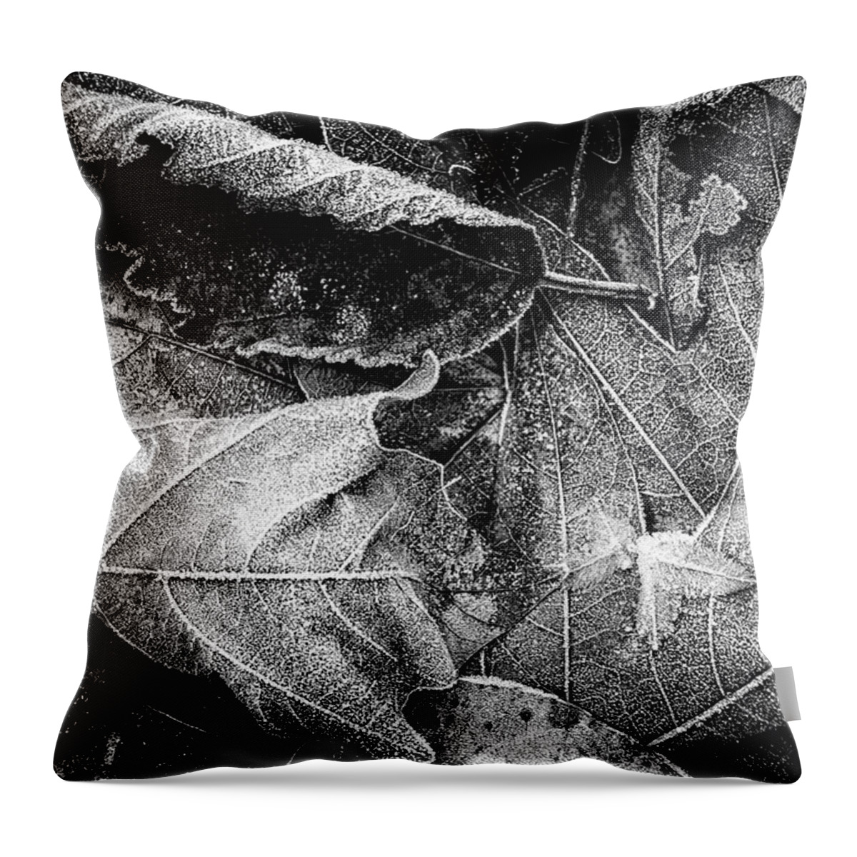 Frost Throw Pillow featuring the photograph Frost on Fallen Leaves bw by Belinda Greb