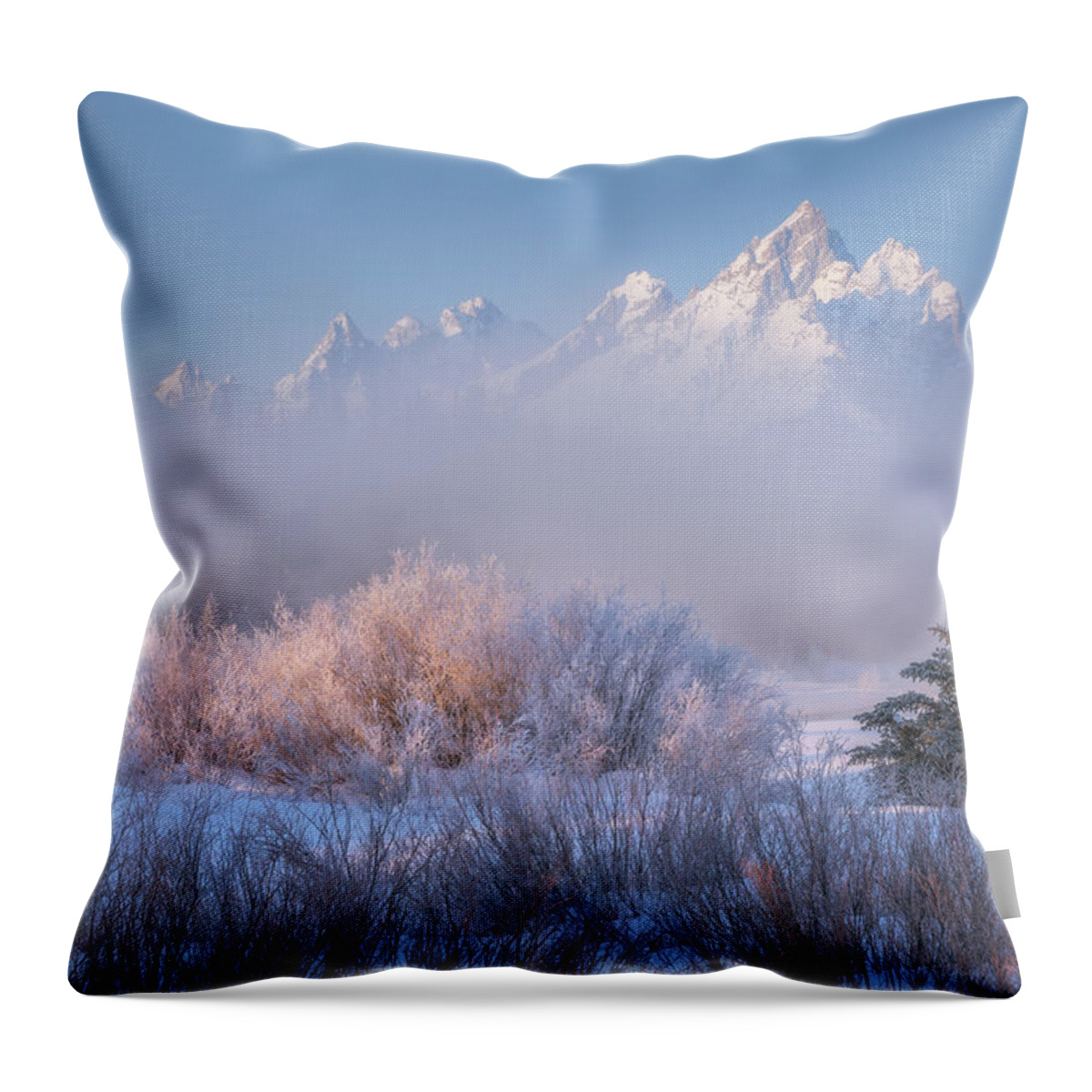 Winter Throw Pillow featuring the photograph Frosted and Falling by Darren White