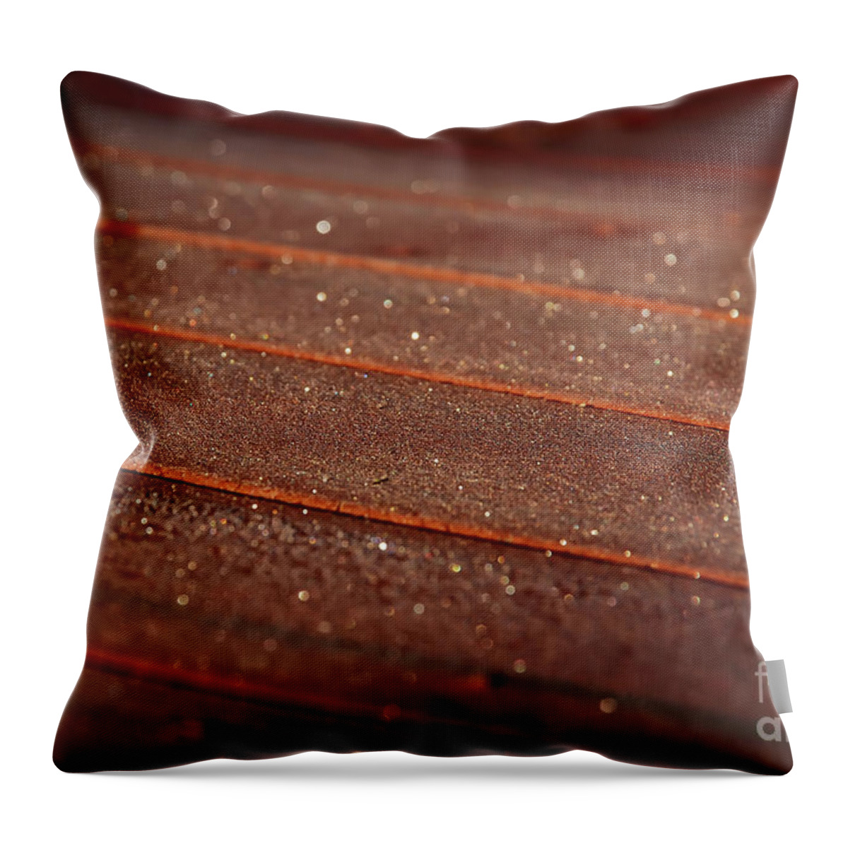 Frost Throw Pillow featuring the photograph Frosty Floorboards by Lois Bryan