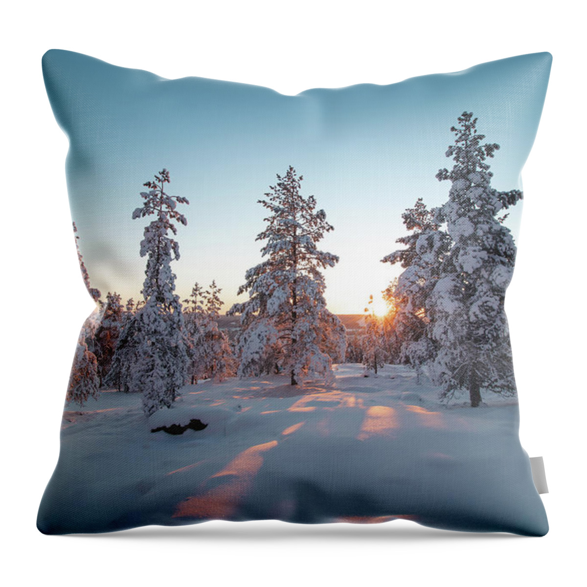 Rovaniemi Throw Pillow featuring the photograph Frosty morning in pristine nature by Vaclav Sonnek